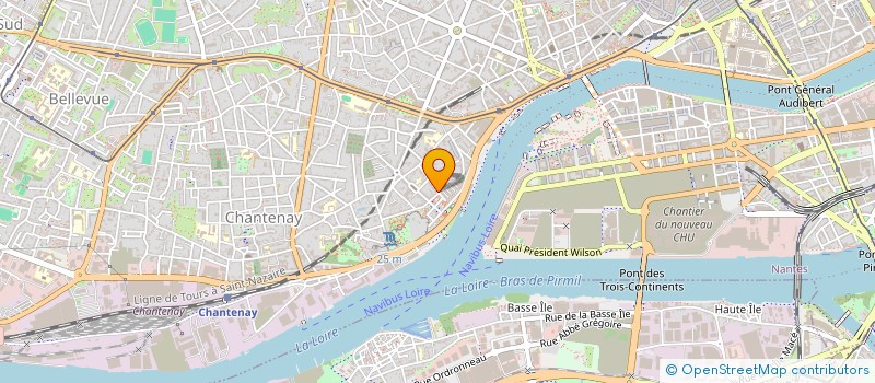 localisation de l'entreprise TOPO - PEPINIERE ARTISTIQUE ET CULTURELLE à NANTES