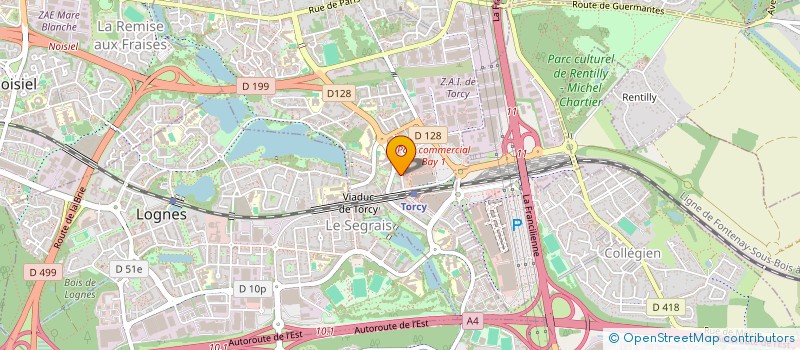 localisation de l'entreprise TORCY DISTRIBUTION à TORCY