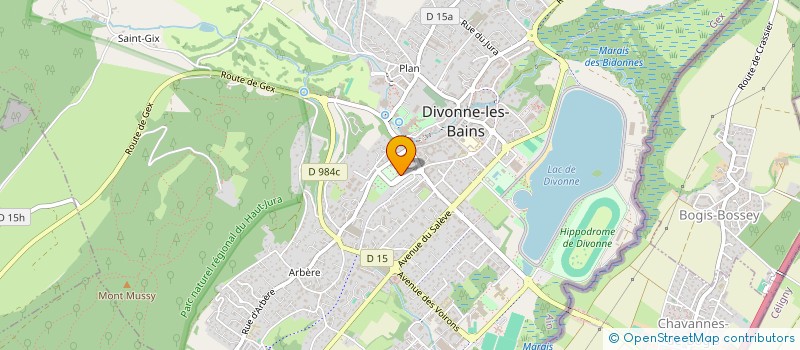 localisation de l'entreprise TOREY MC INVEST  DIVONNE-LES-BAINS