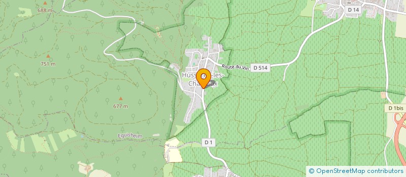 localisation de l'entreprise TORREFACTION TERROIR  HUSSEREN-LES-CHATEAUX