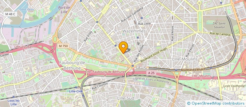 localisation de l'entreprise TOTAL SECURITY SERVICE à LILLE