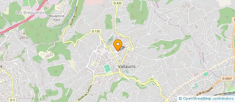 localisation de l'entreprise TOU RENOV  VALLAURIS