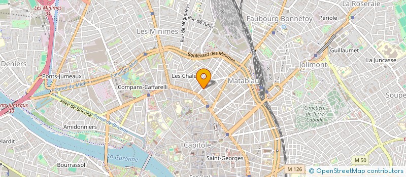 localisation de l'entreprise TOULOUSE IMMO CONSEIL  TOULOUSE
