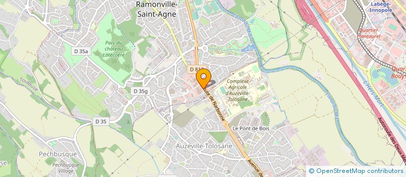 localisation de l'entreprise TOULOUSE SELF-STOCKAGE à RAMONVILLE-SAINT-AGNE