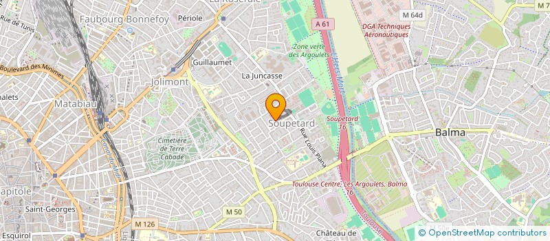 localisation de l'entreprise TOUS AVEC NOE à TOULOUSE