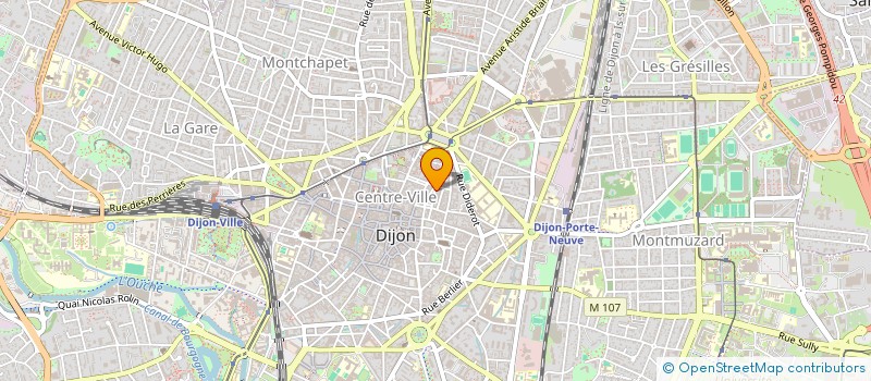 localisation de l'entreprise TOUS LES MATINS DU MONDE à DIJON