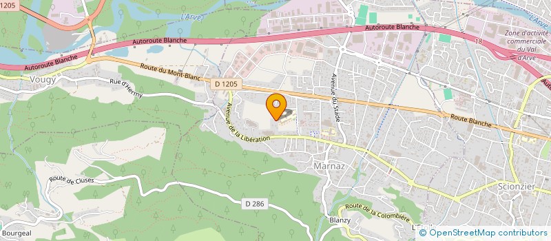 localisation de l'entreprise TOUS TRAVAUX SERVICES  MARNAZ