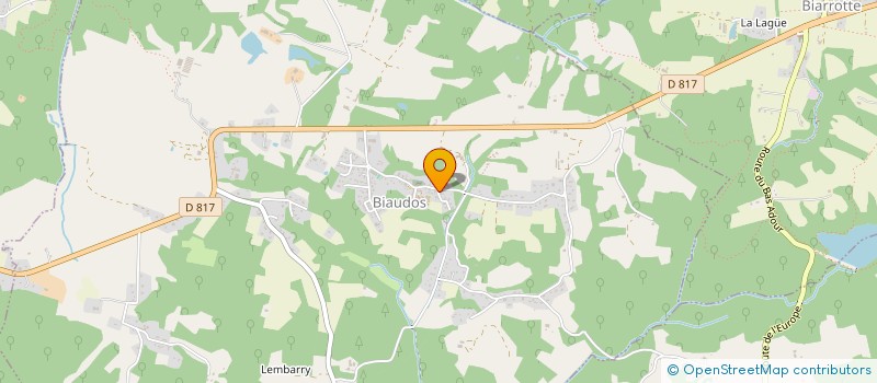 localisation de l'entreprise TOUSPARTENAIRESCOVID  BIAUDOS