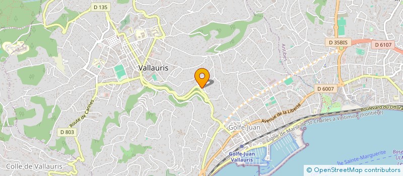 localisation de l'entreprise TOUT CE QUI BRILLE  VALLAURIS