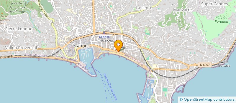 localisation de l'entreprise TOUTOU PALACE  CANNES