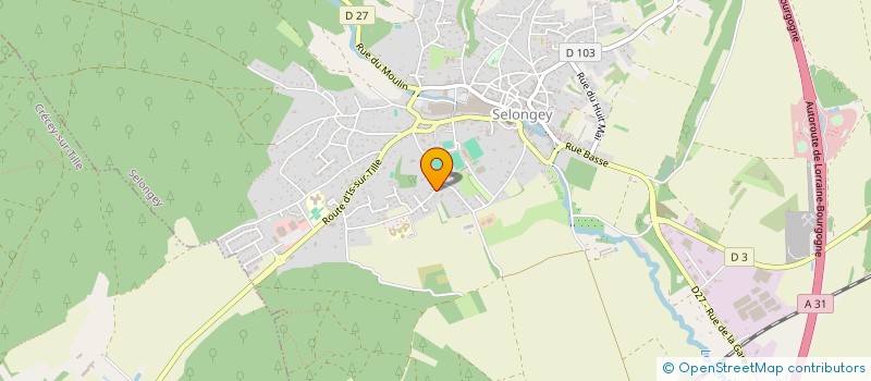 localisation de l'entreprise TOWIMAN IMMO  SELONGEY