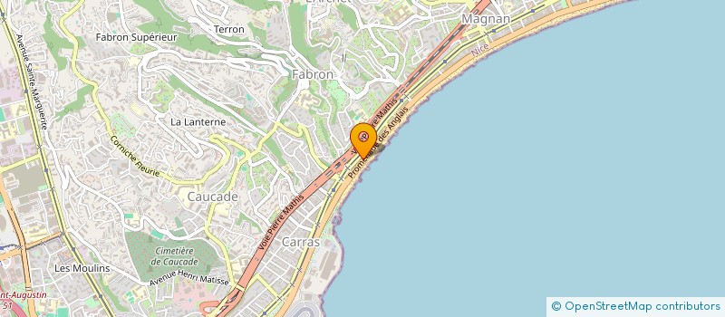 localisation de l'entreprise TP SAFFSCHICK INFORMATIQUE à NICE