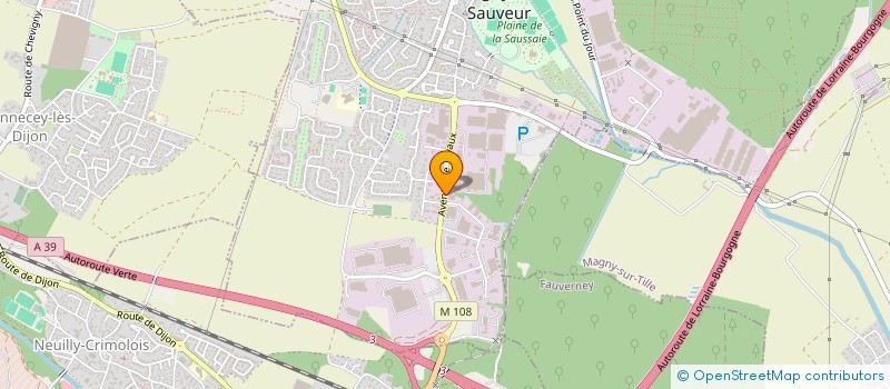 localisation de l'entreprise TPG 15  CHEVIGNY-SAINT-SAUVEUR