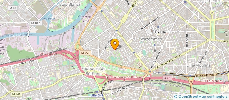 localisation de l'entreprise TPR TOUTE PEINTURE REVETEMENT à LILLE