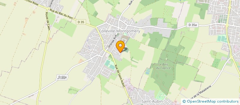 localisation de l'entreprise TPV COURTAGE  COLLEVILLE-MONTGOMERY