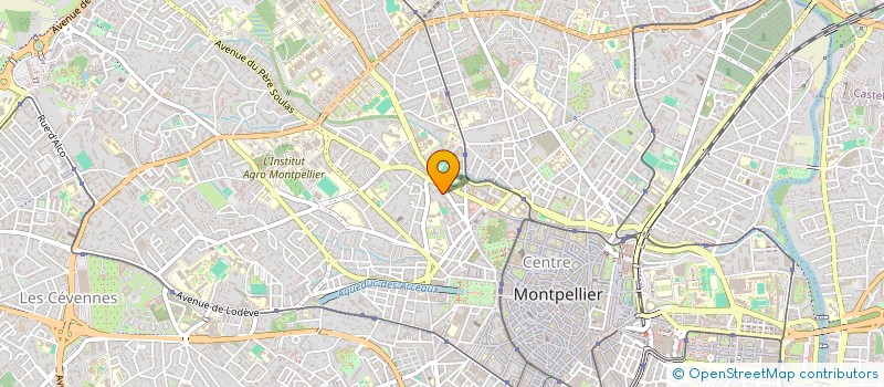 localisation de l'entreprise TRANS AFRO EXPRESS à MONTPELLIER