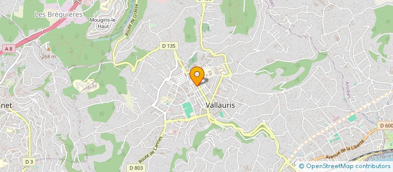localisation de l'entreprise TRANS CARBURE à VALLAURIS