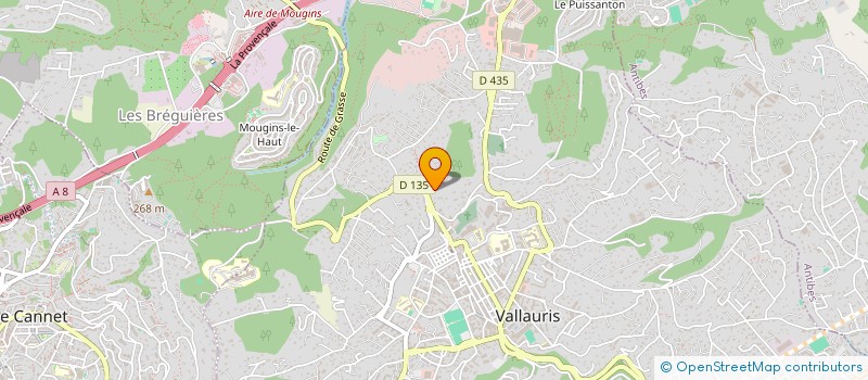 localisation de l'entreprise TRANS FRET SERVICES  VALLAURIS