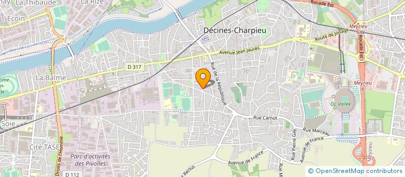 localisation de l'entreprise TRANS PRO-TECH à DECINES-CHARPIEU