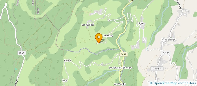 localisation de l'entreprise TRANSACTIONS DES ALPES à MASSINGY