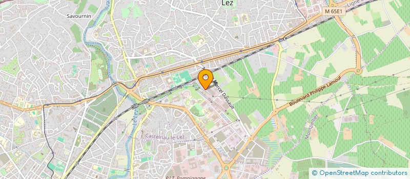 localisation de l'entreprise TRANSDEV MOBILITE MONTPELLIER METROPOLE (T3M) à CASTELNAU-LE-LEZ