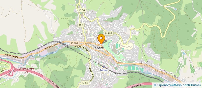 localisation de l'entreprise TRANSDILIGENCE à TARARE