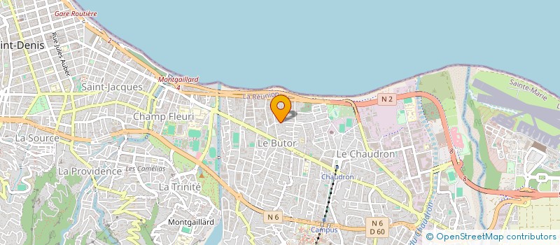 localisation de l'entreprise TRANSMISSION ET INITIATION AUX ZERBAZ ANCESTRAUX OU NOUVEAUX DE L'ETHNOBOTANIQUE REUNIONNAISE  SAINT-DENIS