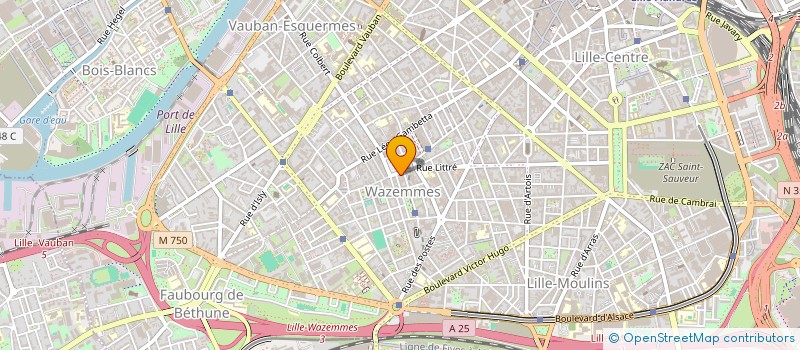 localisation de l'entreprise TRANSPORT DE PERSONNES LA DEMANDE à LILLE