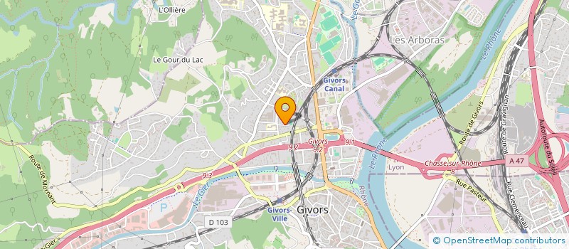 localisation de l'entreprise TRANSPORT GLOBAL GREEN  LYON