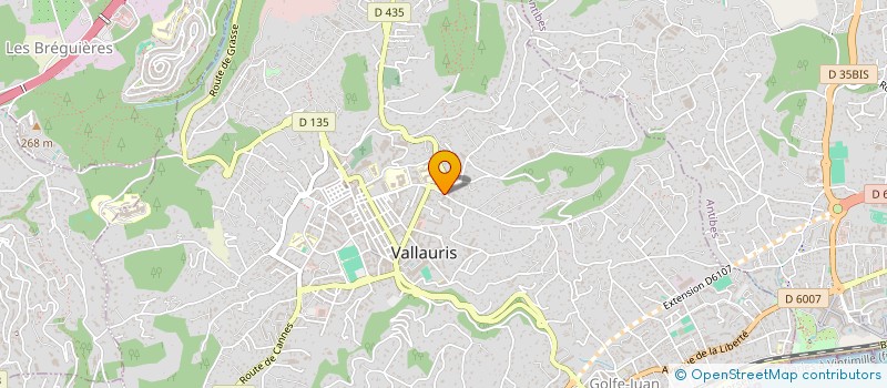 localisation de l'entreprise TRANSPORT PREMIUM PACA à VALLAURIS
