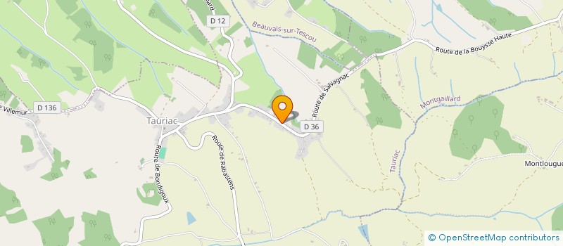 localisation de l'entreprise TRANSPORT SHOW CAR CUSTOM  TAURIAC