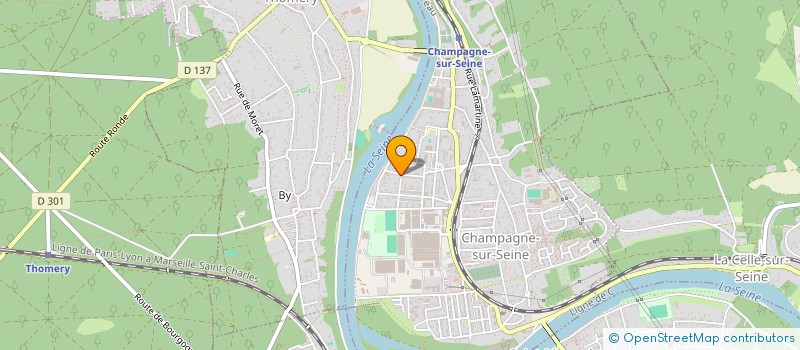 localisation de l'entreprise TRANSPORT STOCKAGE DISTRIB BORRAGINI  CHAMPAGNE-SUR-SEINE