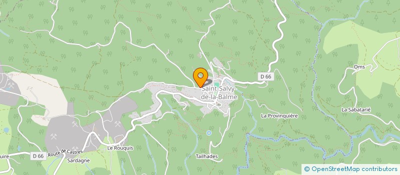 localisation de l'entreprise TRANSPORTS BASTIER  SAINT-SALVY-DE-LA-BALME