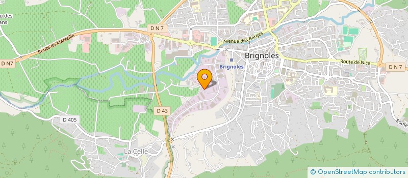 localisation de l'entreprise TRANSPORTS BORGHINO à BRIGNOLES