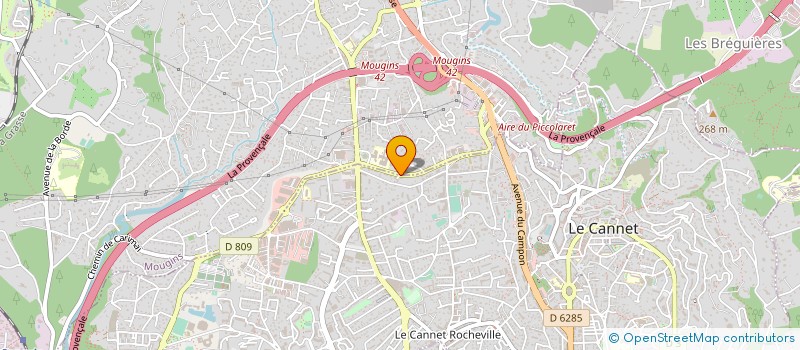 localisation de l'entreprise TRANSPORTS CARERE  MOUGINS