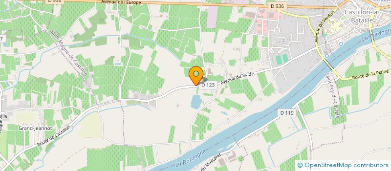 localisation de l'entreprise TRANSPORTS CHEVALIER  SAINT-MAGNE-DE-CASTILLON