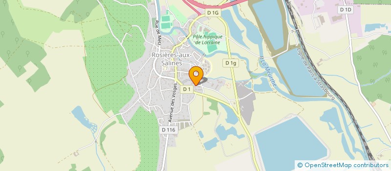 localisation de l'entreprise TRANSPORTS-DEMENAGEMENTS NIDERLINDER à ROSIERES-AUX-SALINES