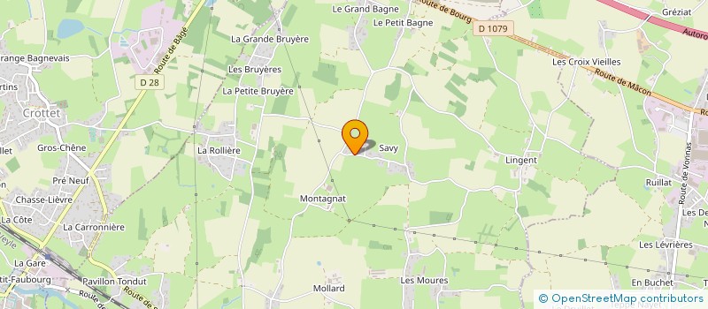 localisation de l'entreprise TRANSPORTS DRUT à SAINT-JEAN-SUR-VEYLE