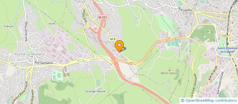 localisation de l'entreprise TRANSPORTS DUPORT  ROCHE-LA-MOLIERE