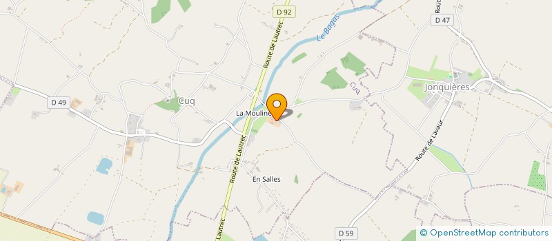 localisation de l'entreprise TRANSPORTS FRIGO MONTAGNE NOIRE  VIELMUR-SUR-AGOUT