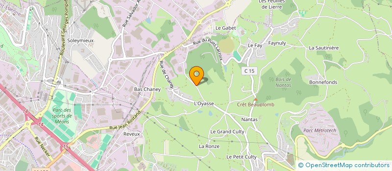 localisation de l'entreprise TRANSPORTS FRIGORIFIQUES DU ROANNAIS  SAINT-JEAN-BONNEFONDS