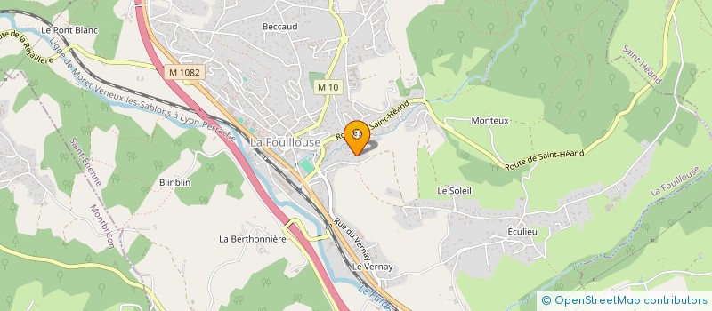 localisation de l'entreprise TRANSPORTS GUIDES URBAINS CONSULT  LA FOUILLOUSE