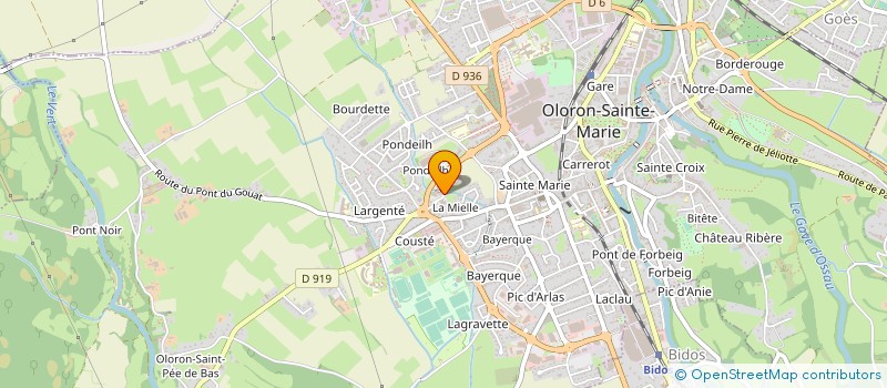 localisation de l'entreprise TRANSPORTS GUY LOPEZ  OLORON-SAINTE-MARIE