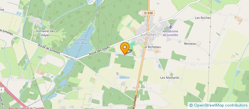 localisation de l'entreprise TRANSPORTS INTERNAT PHILIPPE SAVARINO  LONGUE-JUMELLES