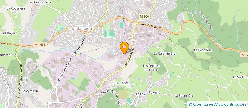 localisation de l'entreprise TRANSPORTS JEAN-MICHEL PASCAL  LA TALAUDIERE