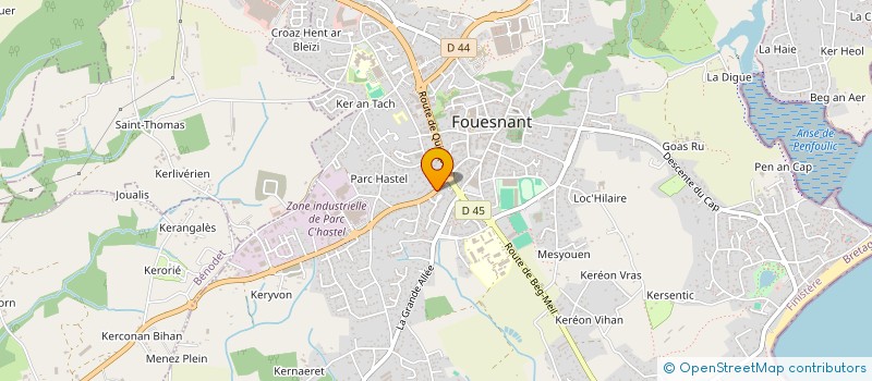 localisation de l'entreprise TRANSPORTS LE VIOL FRERES à FOUESNANT