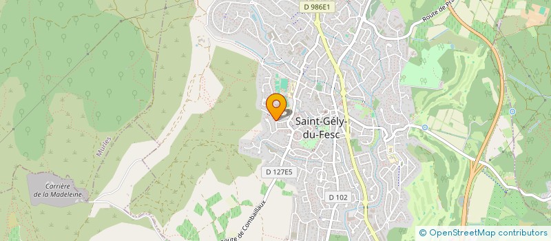 localisation de l'entreprise TRANSPORTS LENGLET SARL  SAINT-GELY-DU-FESC