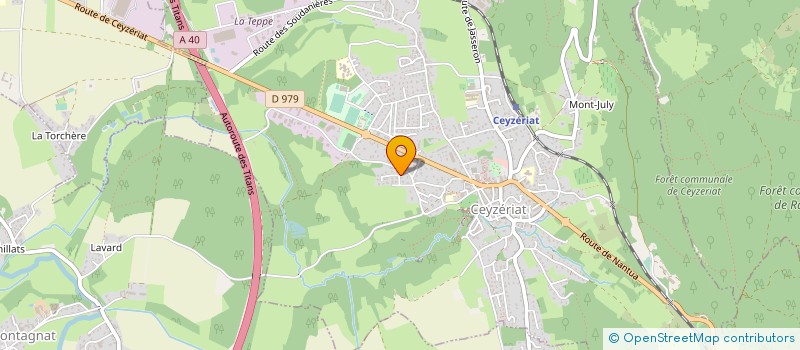 localisation de l'entreprise TRANSPORTS PEINET à CEYZERIAT