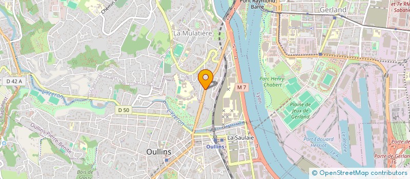 localisation de l'entreprise TRANSPORTS RICHARD EXPRESS  LA MULATIERE