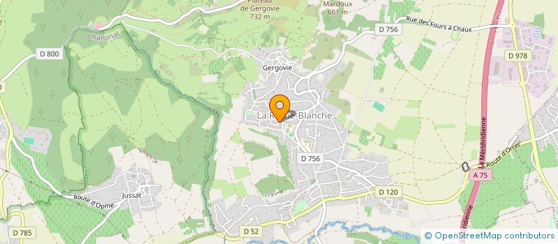 localisation de l'entreprise TRANSPORTS ROUVIERE FRERES à LA ROCHE BLANCHE